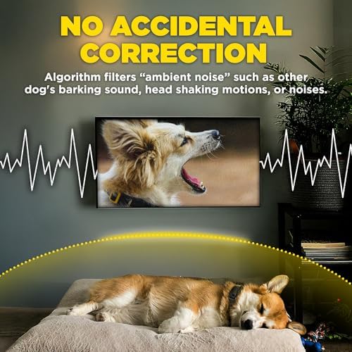 Dogtra Smart NOBARK with Titanium Contact 3/4" | Smart Bark Detection for Whining & Barking, 33 ft Range, App Notifications, Behavior Report, Waterproof, 10 lbs+, Ideal for Short-Haired Dogs