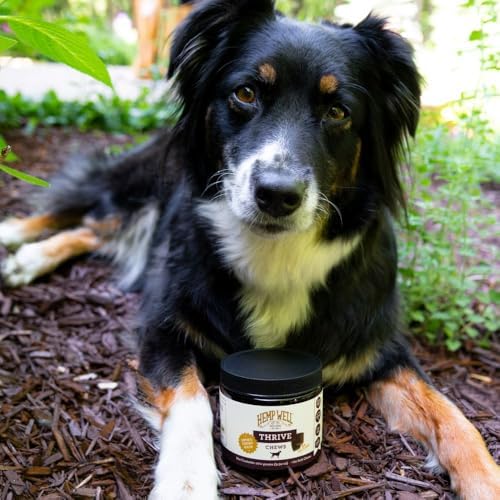 Hemp Well Thrive Dog Soft Chews with Organic Hemp, Omega 3 & 6, 8 Count