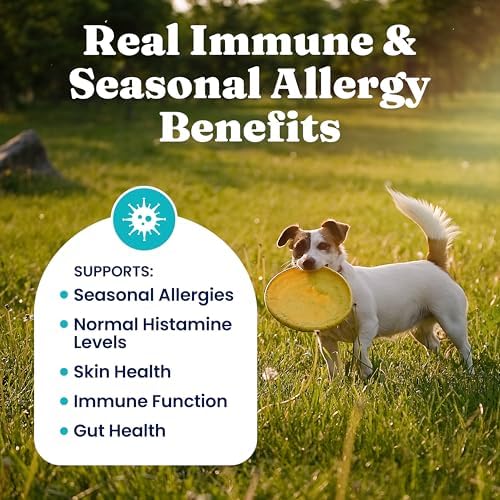 Solid Gold Dog Allergy Chews for Itchy Skin & Immune Support, 120ct
