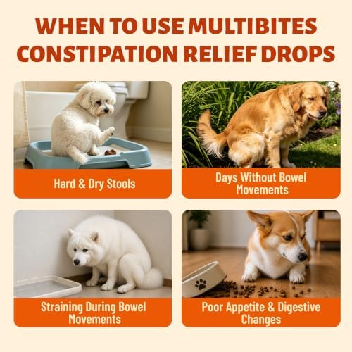 Cat & Dog Probiotics for Constipation Relief & Gut Health 2fl oz