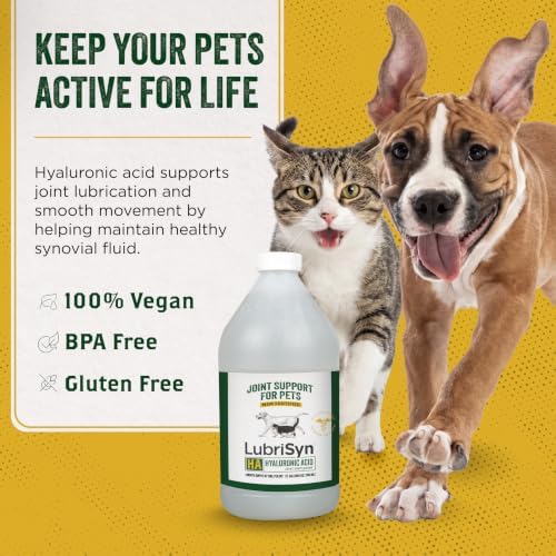 LubriSyn HA Hip & Joint Supplement Plus MSM for Dogs & Cats, 64 oz