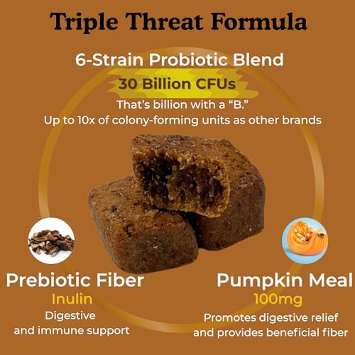 Hair of Le Dog, Canine Probiotic Digestive Support Daily Chews, 140 ct