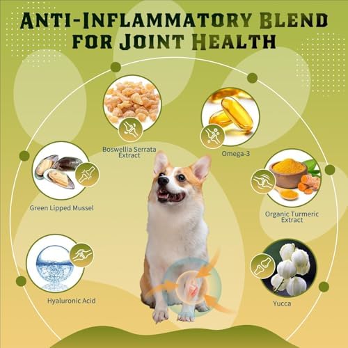 DRFOSTER Glucosamine for Dogs, Chicken Flavor, 120 Freeze-Dried Chews