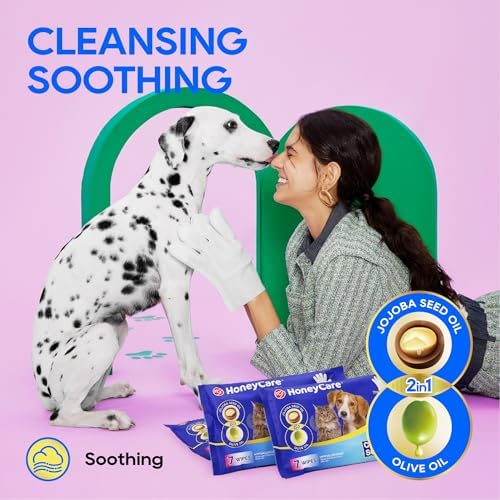 HONEY CARE All-Absorb Disposable Pet Grooming Gloves Wipes for Dogs & Cats Fur Deodorizing & Cleaning (7 Gloves/Pack, 6 Packs, 42 Wipes Total)
