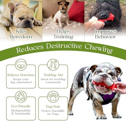 Tough Dog Chew Toys for Aggressive Chewers Indestructible Rubber Toy for Teeth Cleaning Treat Dispenser Chew Bones for Small, Medium Dogs