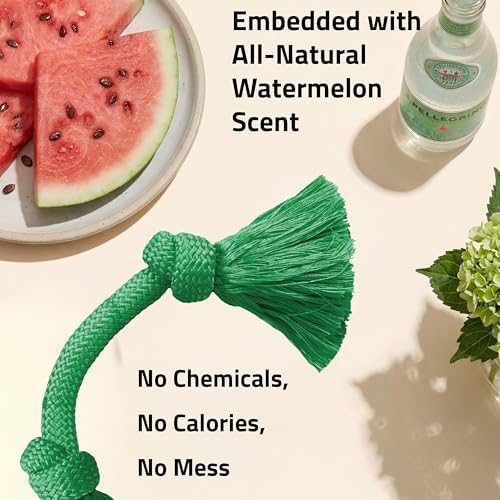Playology Tug Rope Dog Toys for Medium Dogs - Medium, Watermelon Scent