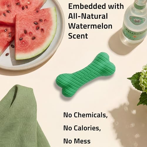 Playology Dual Layer Bone Dog Chew Toy - Jumbo, Watermelon Scent