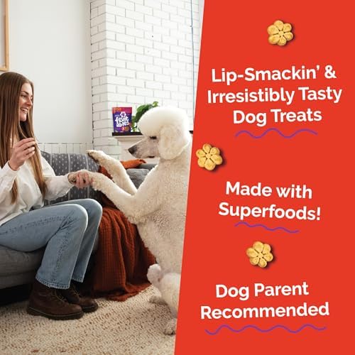 Fruitables Baked Dog Treats, Healthy Pumpkin Treat for Dogs, Low Calorie & Delicious, Made Without Wheat, Corn and Soy, Made in the USA, Allergy Friendly, Crispy Bacon and Apple Flavor, 32 oz