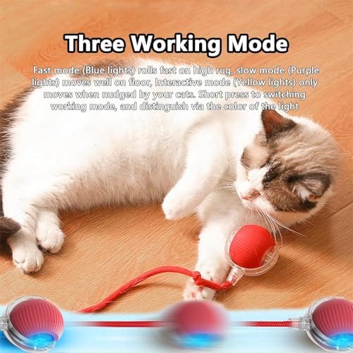 Smart Motion Pet Ball, Interactive Pet Toy Ball, 2025 New Interactive Rolling Dog Balls, Automatic Rotating Rolling Balls, for Cats