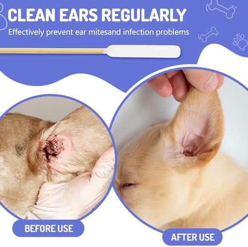 100PCS Professional Dog Ear Swabs in Box, 6" Long Cotton Swabs
