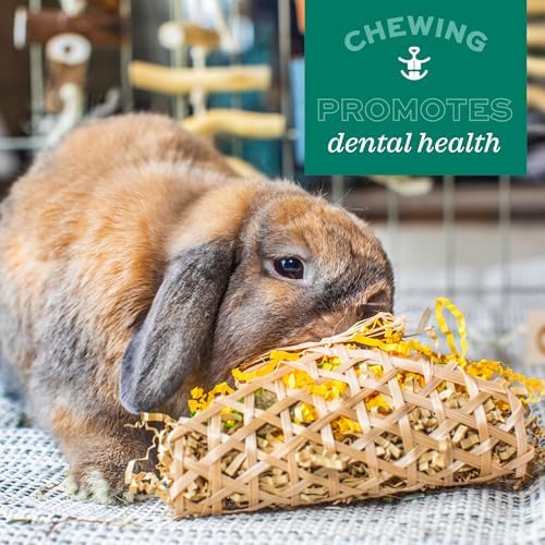 Oxbow Enriched Life Timbells, Rabbit Toys, Guinea Pig Toys, Enrichment for Bunny, Guinea Pig, Hamster, Rabbit, Chinchilla, Timothy Hay, Chinchilla Cage Accessories, Small Pet Accessories for Cage
