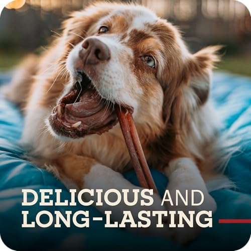 Redbarn 7" Bully Sticks 100% Natural, Long Lasting, Rawhide Free, 35 Count