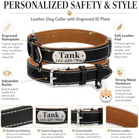 Personalized Genuine Leather Dog Collar with Name Phone Number-Black-XL