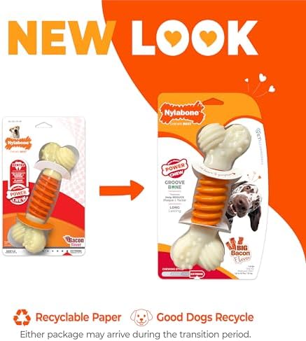 Nylabone Power Chew Dental Groove Bone Dog Chew Toy, Bacon Flavor, Large