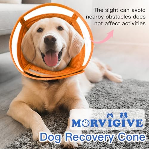 Dog Cone Collar After Surgery to Stop Licking | Adjustable Elizabethan Collar for Neutering, Lightweight Breathable Recovery Neck Cone to Prevent Biting Wounds & Hot Spots (Orang, L)