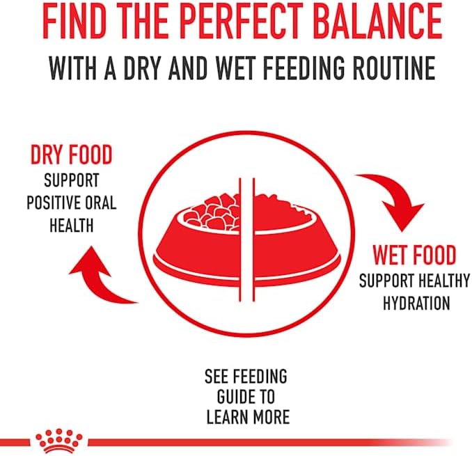 Royal Canin Weight Care Loaf in Sauce Wet Dog Food, 5.2 oz., Case of 24