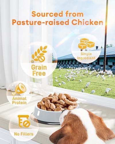 Freeze-Dried Chicken Hearts Treats for Cats & Dogs, 17.63 oz