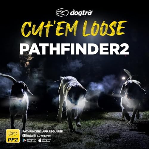 Dogtra 2 Dog Pathfinder 2 GPS Dog Tracker e Collar with PATHFINDER2 Green Add on Receiver LED Light No Monthly fees Free App Waterproof Smartwatch Control Long Range Multiple Dogs Smartphone Required