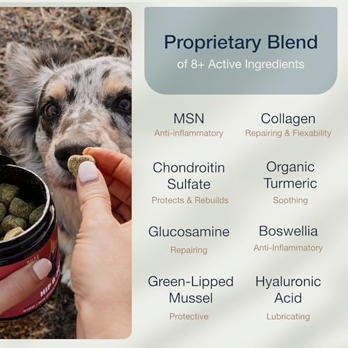 Hip & Joint Dog Chews, Glucosamine & Green Lipped Mussel, 90 Count