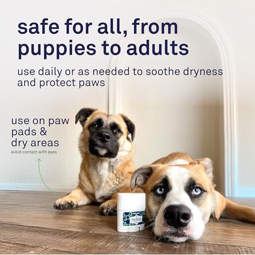 Petpost | Paw Balm for Dogs - Nourishing Cream Soothes Itchy, Dry Dog Paws with Moisturizing Ingredients - Organic Coconut Oil, Jojoba Oil, and Shea Butter 0.64 oz.