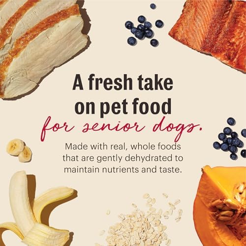The Honest Kitchen Wholemade Whole Grain Senior Dog Food, Chicken, Oat & Salmon Recipe, Human Grade Dehydrated Dog Food, Overall Health Support for Senior Dogs, Just Add Water, 7 lb Bag Makes 28 lbs