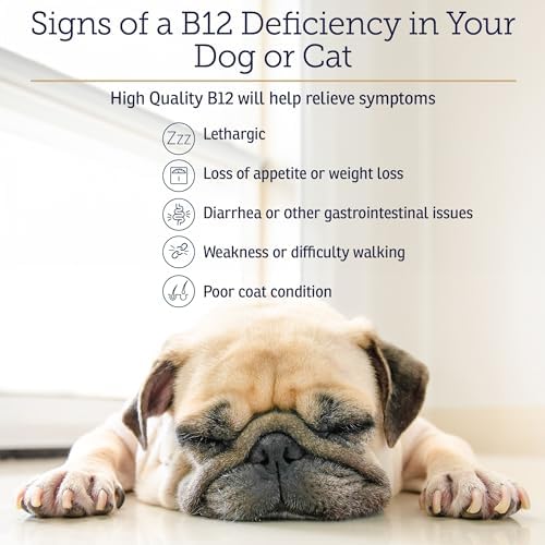RX Vitamins B12 for Dogs and Cats - Helps Improve Pet Wellness - 4oz