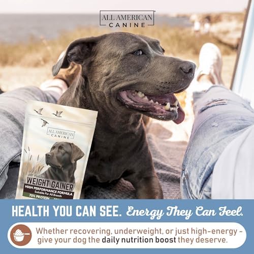 All American Canine Dog Weight Gainer Powder, Bulk 5 lb, 230 Servings