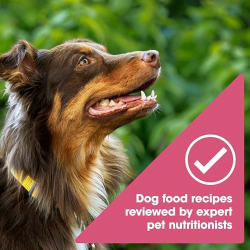 Nature's Recipe Grain Free Salmon Dry Dog Food, 24 lb. Bag