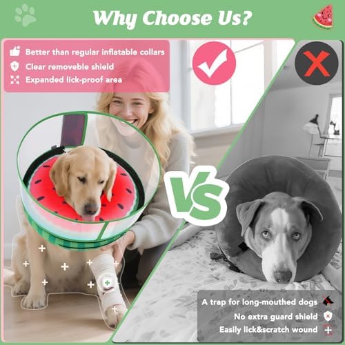 Inflatable Dog Cone with Anti-Licking Clear Shield, Fits Small Dogs