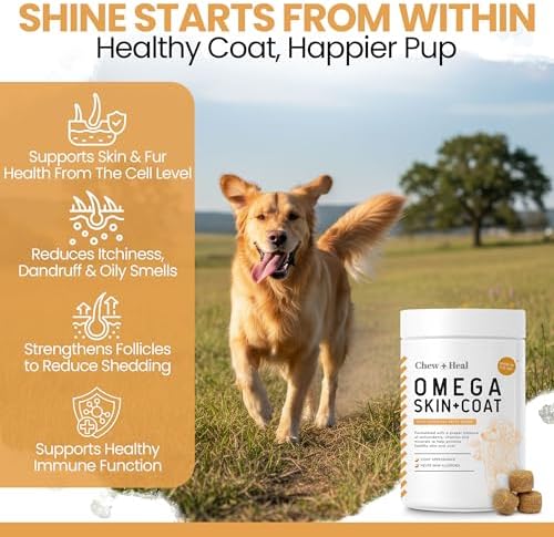 Salmon Oil for Dogs -60 Soft Chew Omega Treats Skin and Coat Supplement for Dogs -Fish Oil Blend of Fatty Acids, Omega 3 and 6, Vitamins, Antioxidants, Minerals -Made in USA