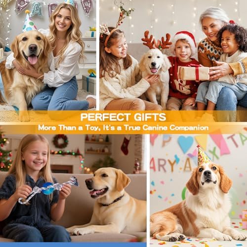 Dog Chew Toys for Aggressive Chewers, Multiple Textures & Rope, ndestructible Tough Durable Interactive Dog Toys, Puppy Chew Toys for Teething，Blue Small Circle
