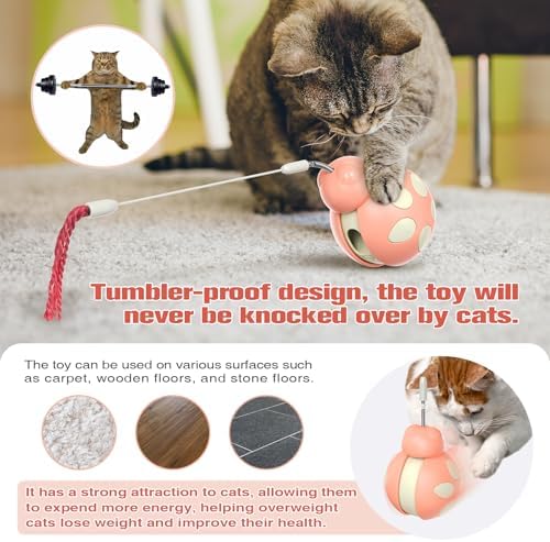 Cat Interactive Toys, Pink