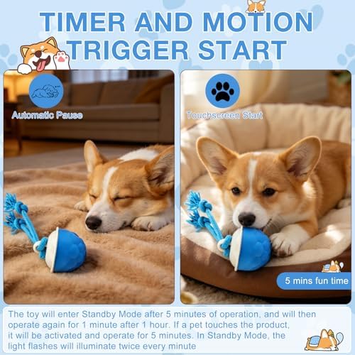 Interactive Dog Ball Toy (3.35x2.76in), 2026 Upgraded Automatic Rolling Ball with 3 Modes, USB Rechargeable, Smart Motion Pet Ball, for Small Medium Large Dogs Indoor Outdoor Play (Orange)