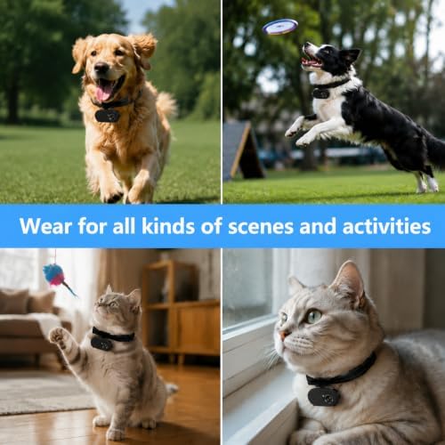 HD 1080P Cat Camera Collar with Video Record Wireless Mini Sport cam,Small Action Cameras,Body Camera for Pet Supplies Stuff Outdoor/Inoor Birthday Gift No WiFi（Black）