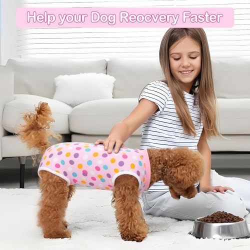 Recovery Suit for Dogs After Surgery Dog Onesie Female Spay Surgical