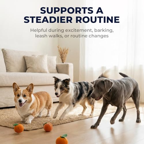 Collapsed Trachea Treatment for Dogs, Dog Cough Treatment & Elixir
