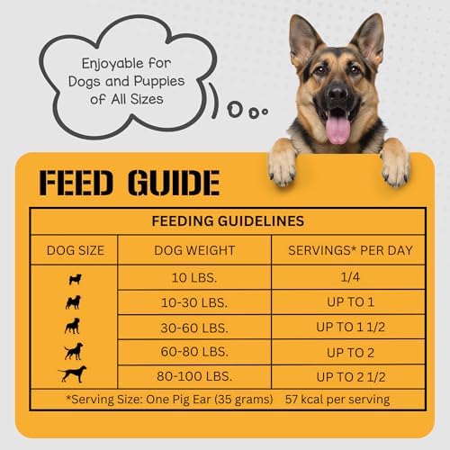 Dog Chits Pig Ears for Dogs – 100% Natural Baked Pig Ear Dog Treats & Training Chews – High Protein, Lower Fat, Grain-Free – Great for Puppies, Dental Support – Medium Size, 15 Pack – Made in USA