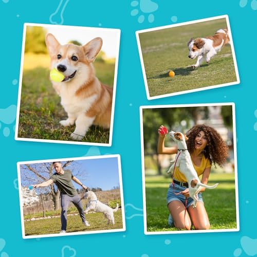 PrimePets Tennis Balls for Dogs, 12 Pack 2.5” Durable Squeaky Dog Balls with High Bounce for Outdoor Play, Interactive Fetch & Training Dog Toys for Small and Medium Breeds