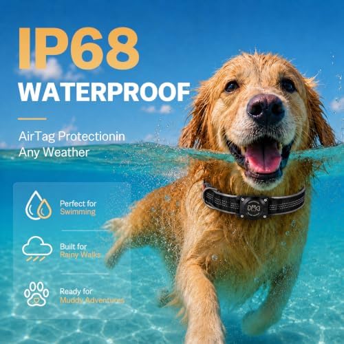 Dog Collar with AirTag Holder Waterproof QR Code Reflective Collar(Black,M) | Built-in Waterproof Holder, QR Code Tag, Reflective,Secure Buckle