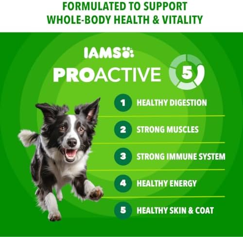 IAMS Proactive Health Adult Minichunks Dry Dog Food, Beef & Rice, 38.5 lb