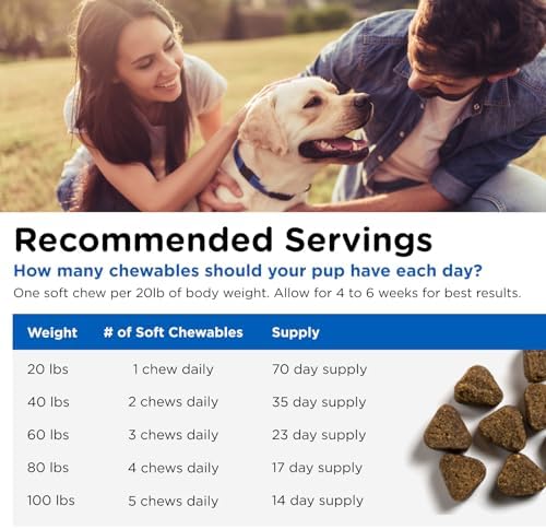 Nutri-Vet Dog Multivitamin, Daily Vitamins, Dog Health Support, 70 Count