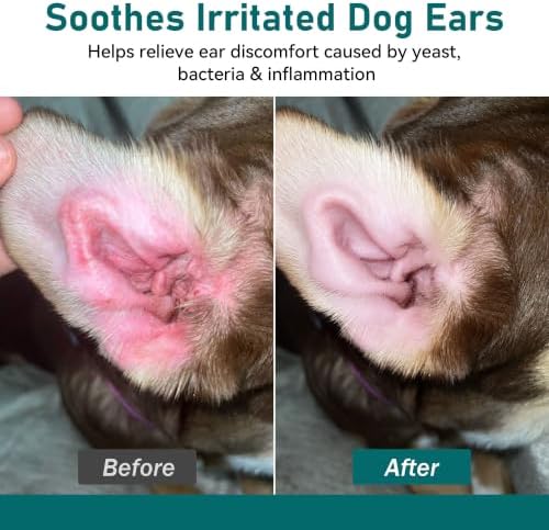 Dog Ear Infection Relief for Dogs, Yeast & Malassezia Support Ear Drops for Dogs, Helps Support Relief from Ear Itchiness, Odor & Redness, Ear Care Solution for Yeast Balance & Ear Health, 1 fl oz