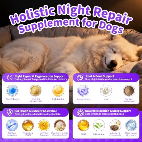 Dog Multivitamin Powder – Calm, Repair, Joint & Gut, Beef, 75 Scoops