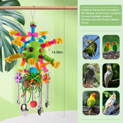 Parrot Toys Bird Toys Perch Pullable Stainless Steel Spoons Colorful Acrylic Stick Chew Toys for Amazons Mini Macaws African Greys Cockatoos Conures,Cockatiels,Lovebirds,Parrotlets and Other (green)
