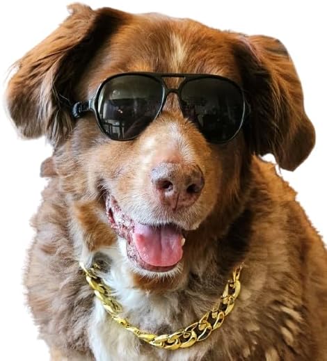 C15 Dog Pet Costume Set Retro Sunglasses Glasses + Chain Adjustable for Medium Breeds Approximately 18-40 lbs Party Prop Cosplay Photoshoot (Aviator Black + Gold Chain)
