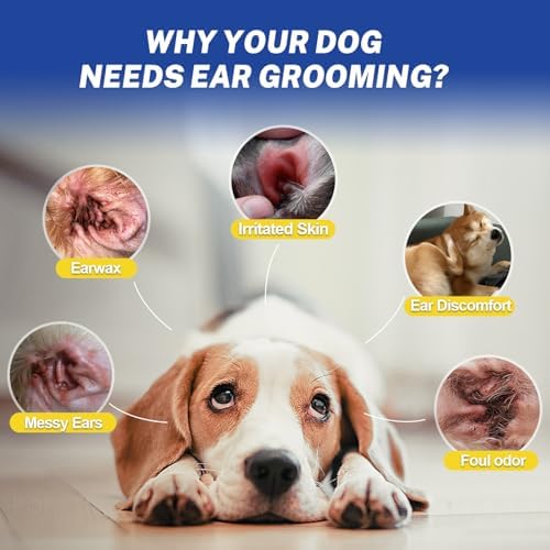 Dog Ear Hair Removal Tool & Ear Powder, 5.5-Inch Curved Forceps