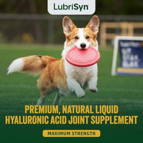 LubriSyn HA Hip & Joint Supplement Plus MSM for Dogs & Cats, 16 oz