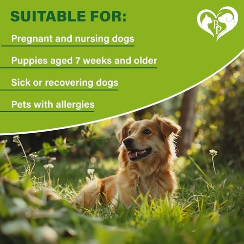 Natural Flea & Tick Collar for Dogs - 6 Months Control of Best Prevention & Safe Treatment - Anti Fleas and Ticks Essential Oil Repellent (2 Count (Pack of 1))