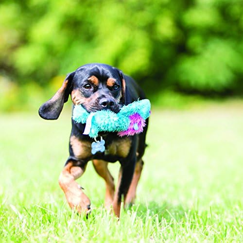 KONG Ali Alligator Cozie Dog Toy, Small