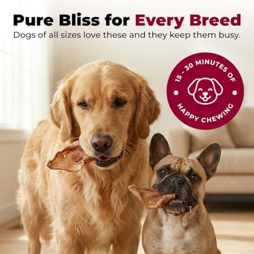 GigaBite Pig Ears Chews for Dogs - Premium Slivers, 1.8 lbs